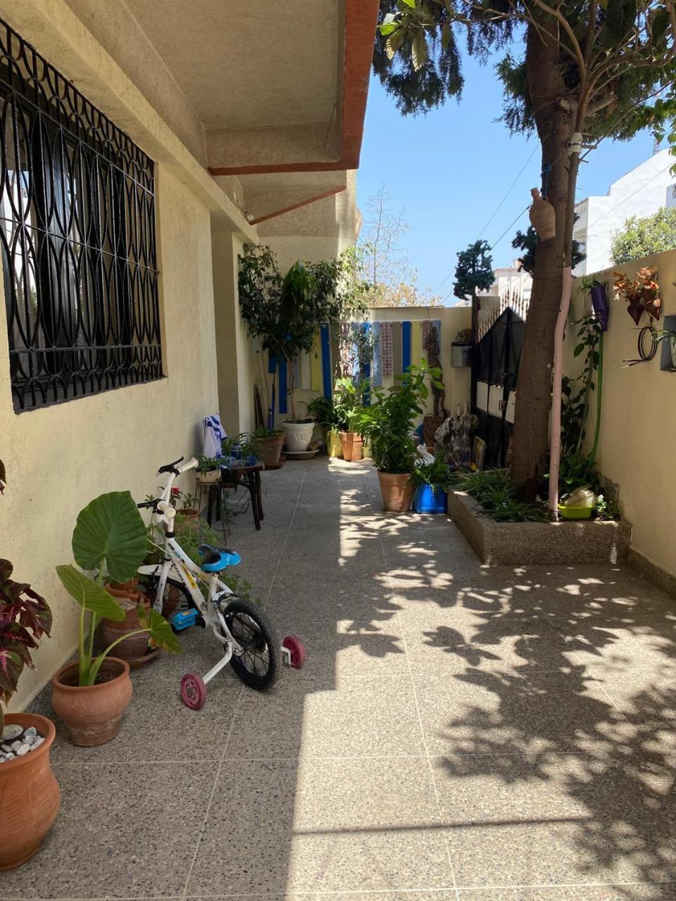 Dar Shamsy Otel Souani  Dış mekan fotoğraf